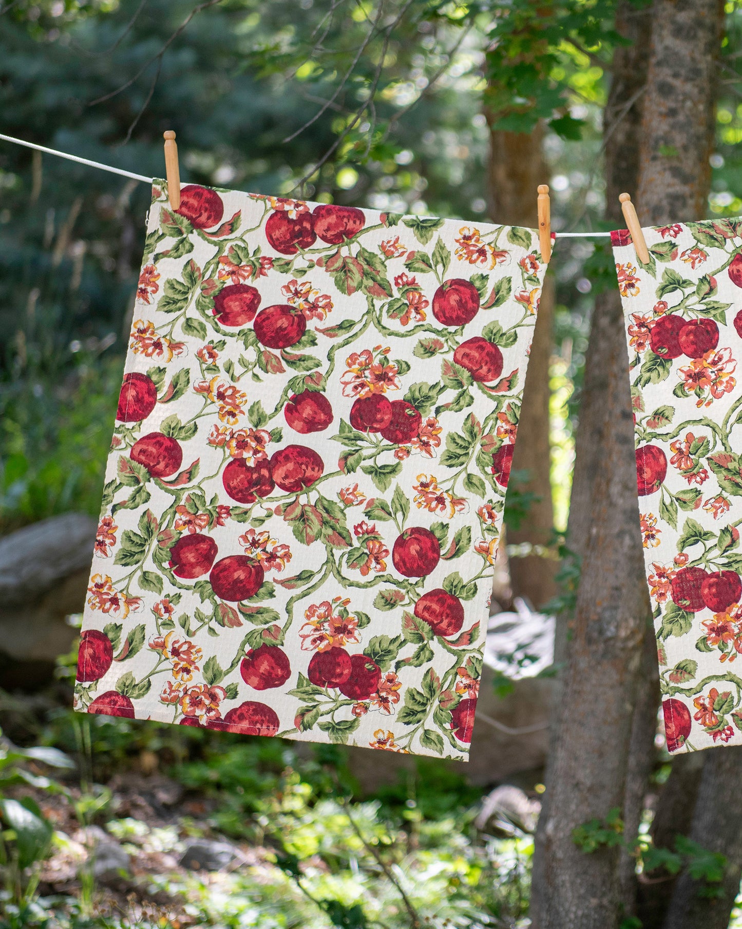 Orchard Bliss Honeycomb Towels, Set of 2