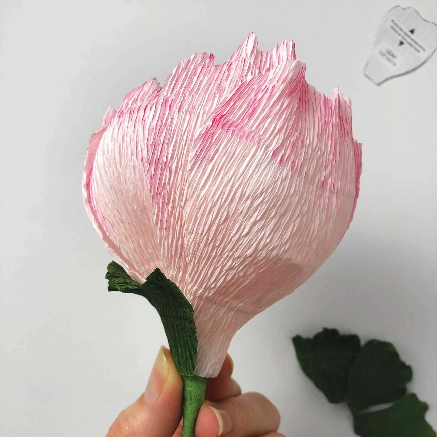 Paper Flower Kit in Peony — Beginner Friendly