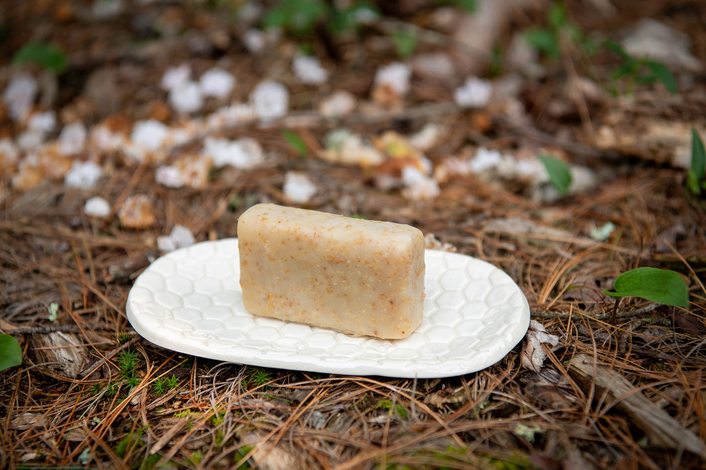 Hive & Lather: Artisan Beehive Soap Dish