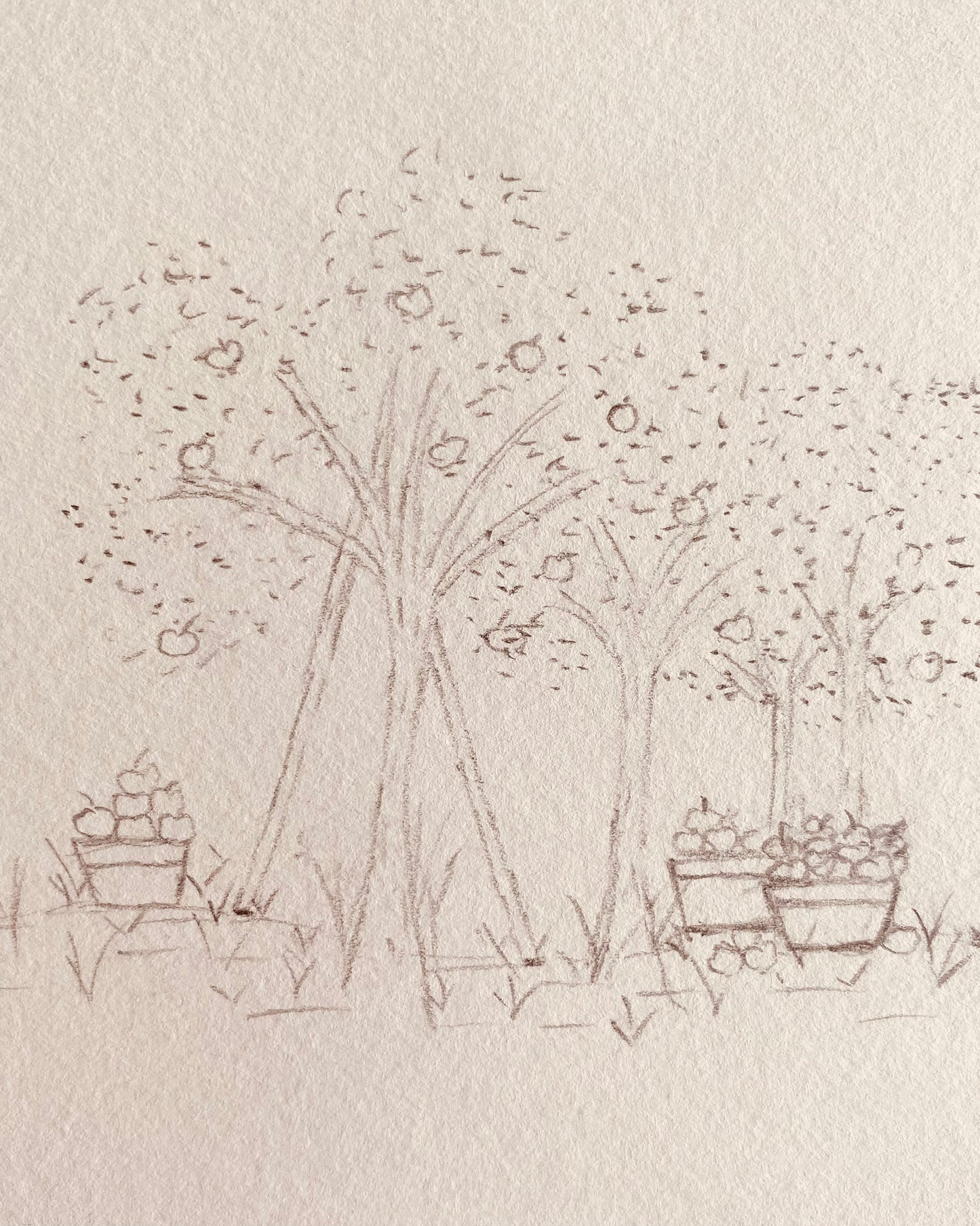 The Apple Orchard Embroidery Kit