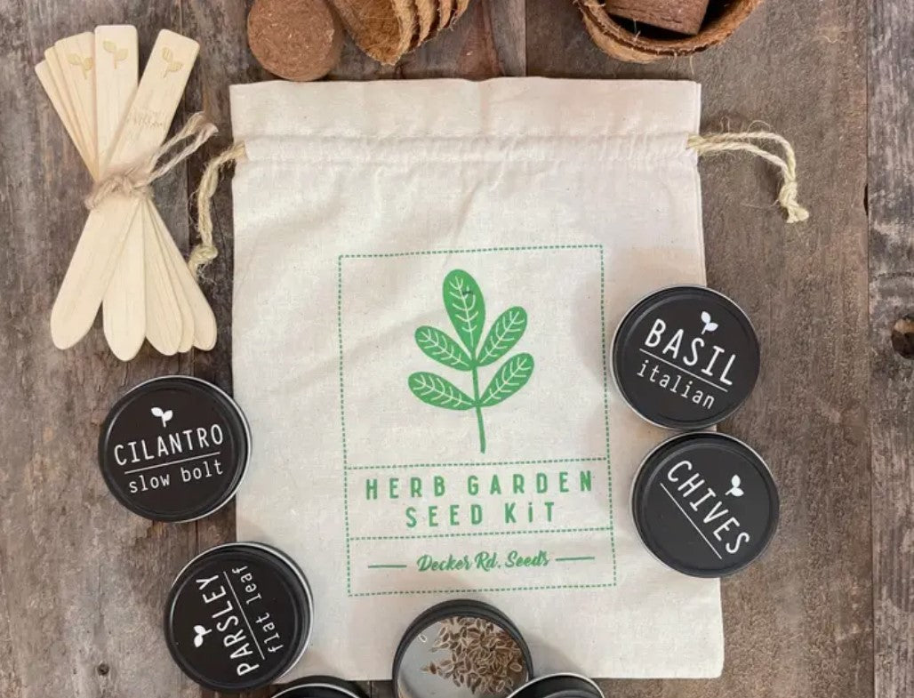 The Real Dill Herb Garden Seed Kit