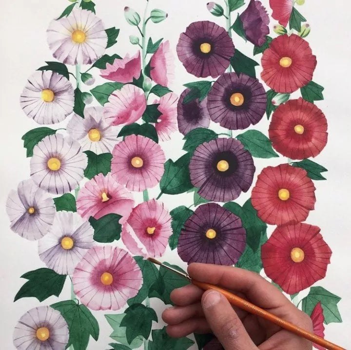 Hollyhocks Watercolor Illustration