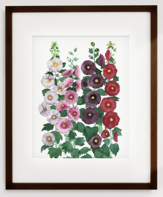 Hollyhocks Watercolor Illustration