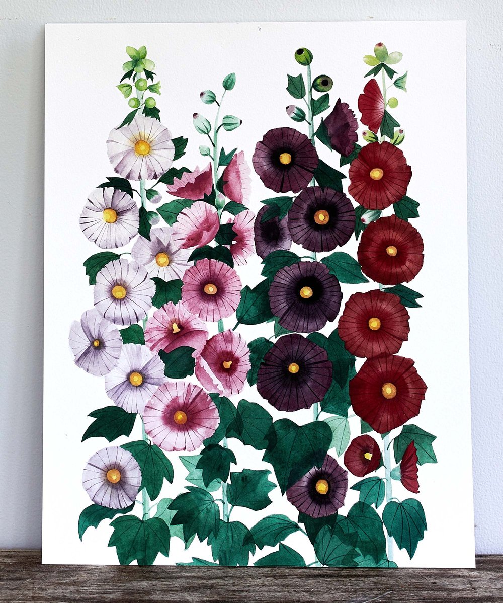 Hollyhocks Watercolor Illustration