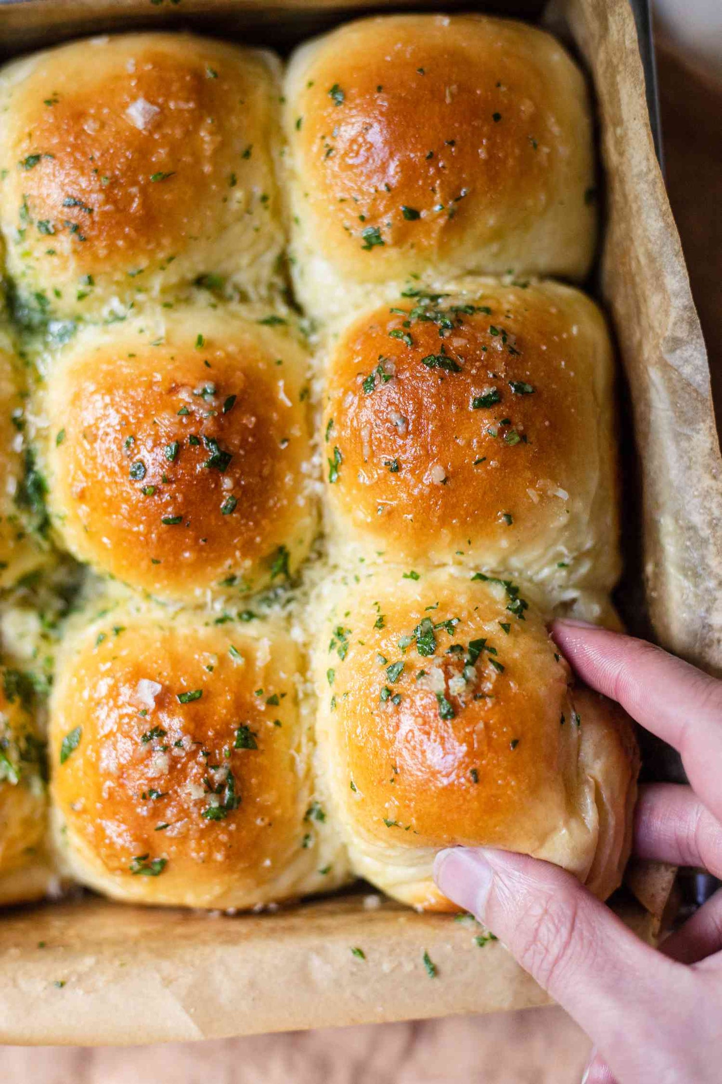 Better Than Store Bought: Rise to the Occasion - A Bread Workshop for Thanksgiving