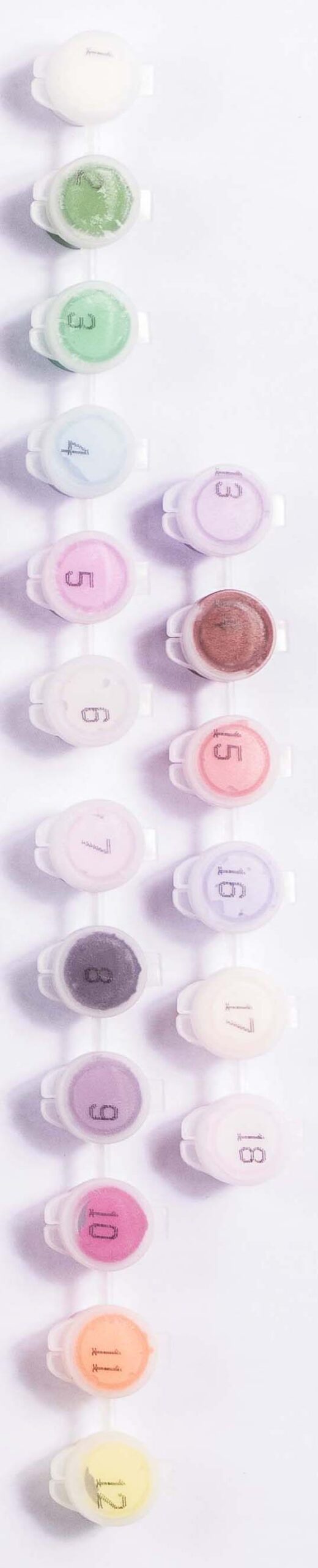 Spring Garden Paint-By-Numbers Kit