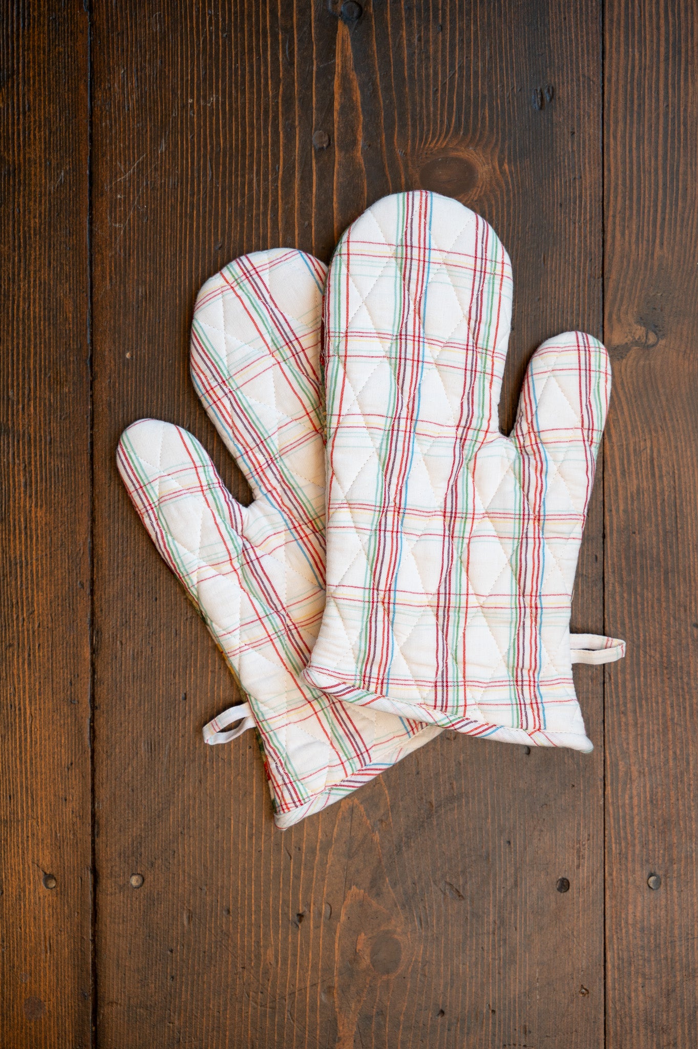 Apple Oven Mitt Set of 2