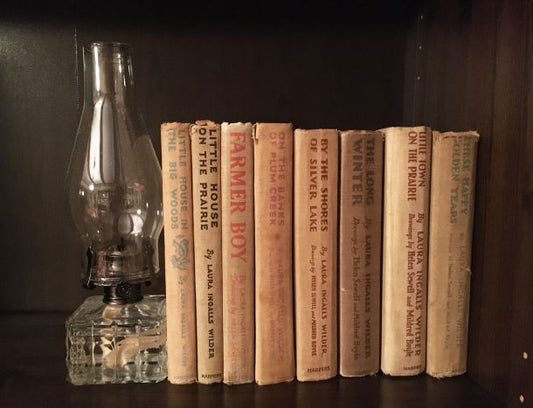 Which Book Is Netflix's Little House on the Prairie Based On? Plus How to Read the Series in Order!