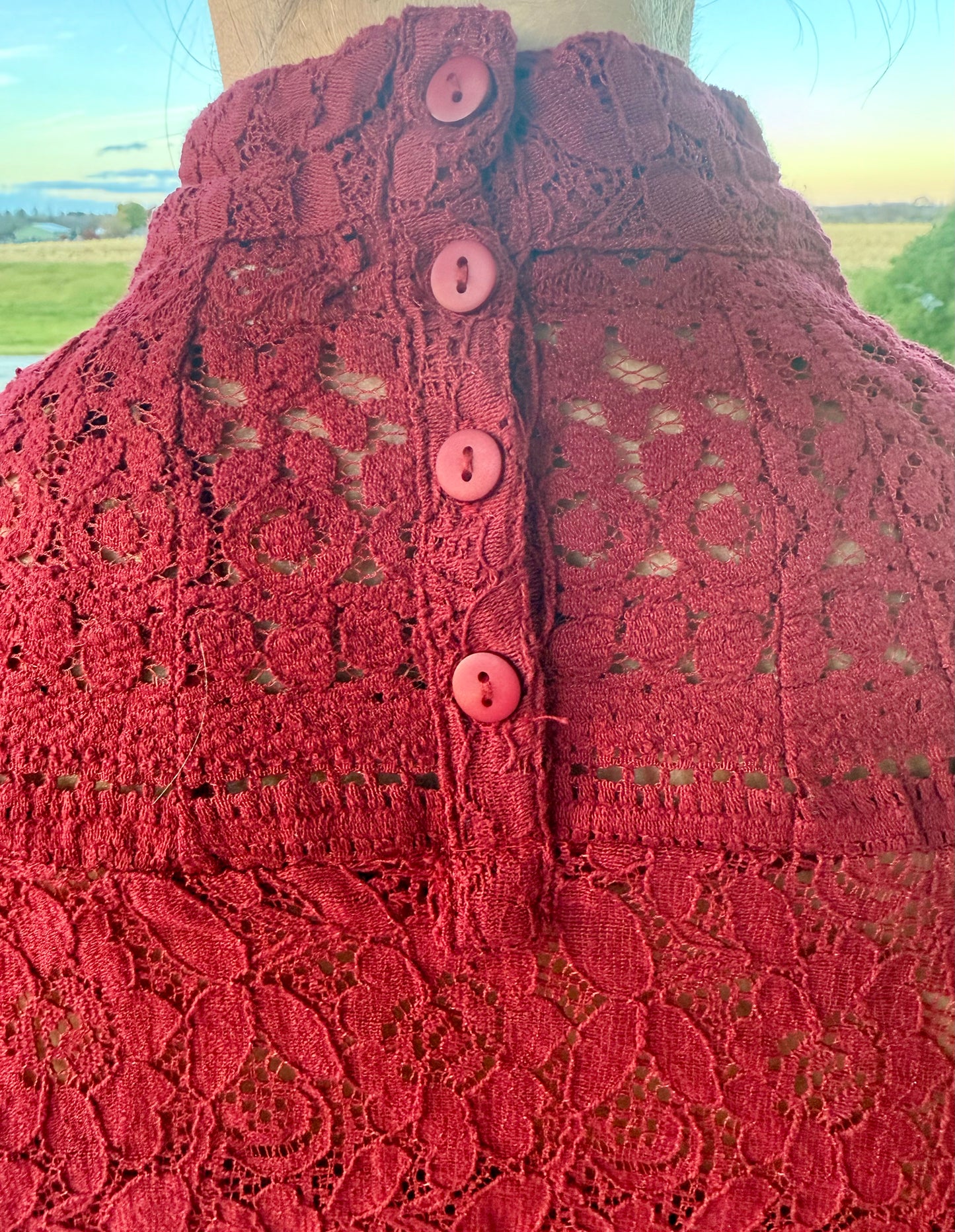 High Society Lace Blouse in Red