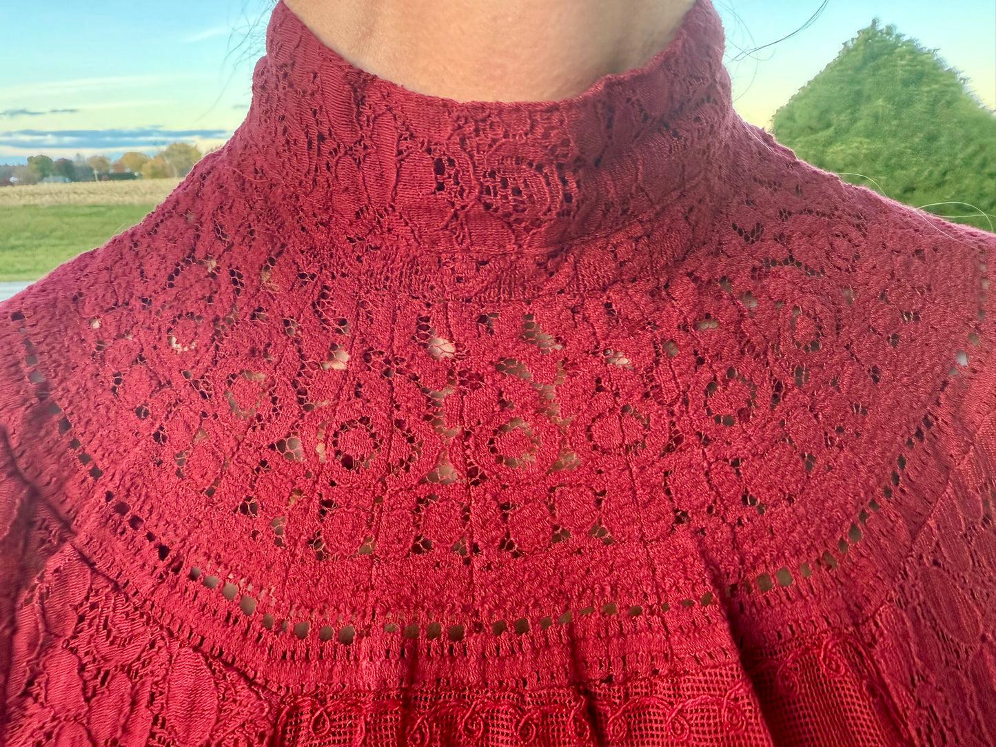 High Society Lace Blouse in Red