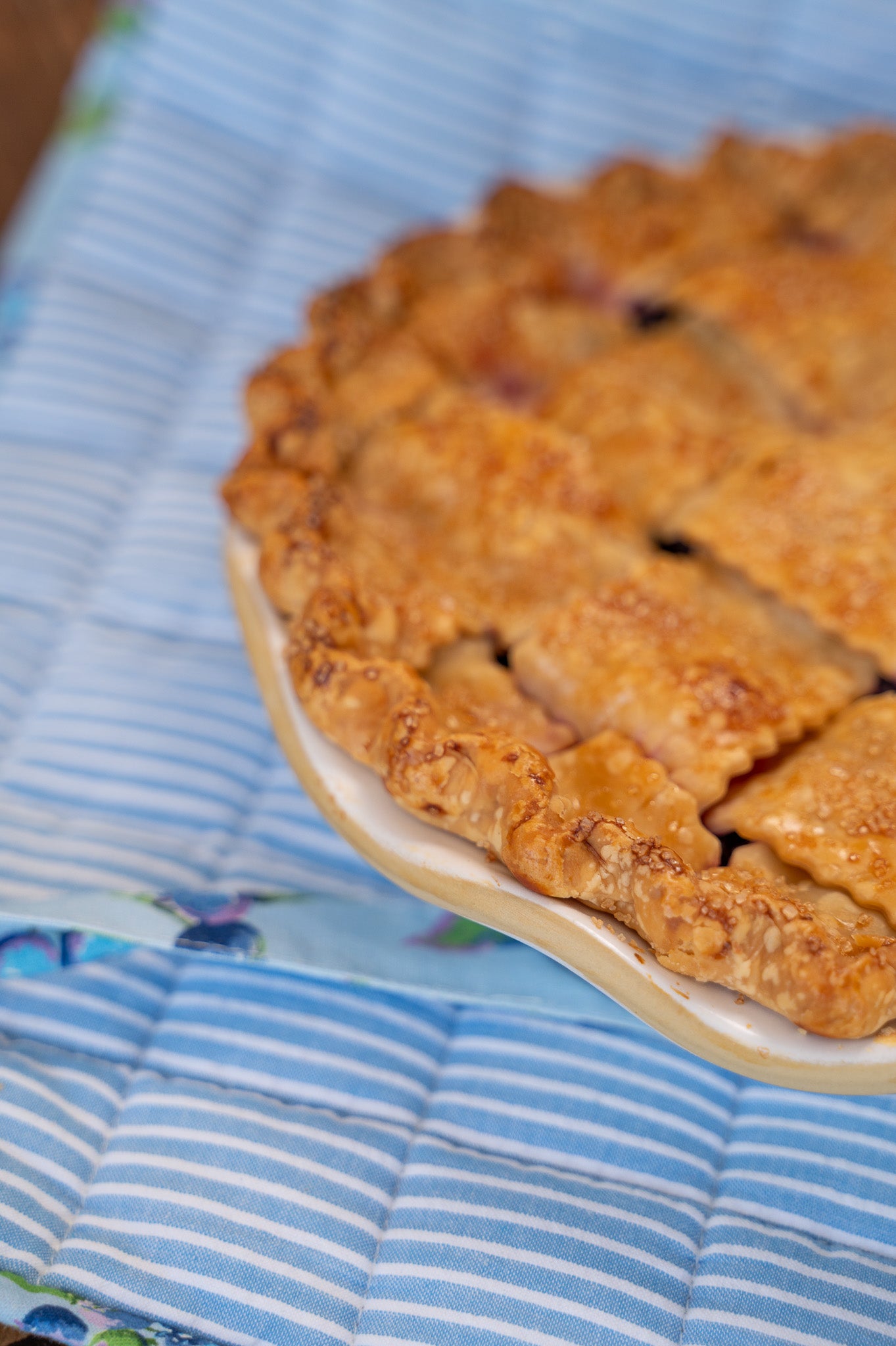 Blueberry Pie Carrier