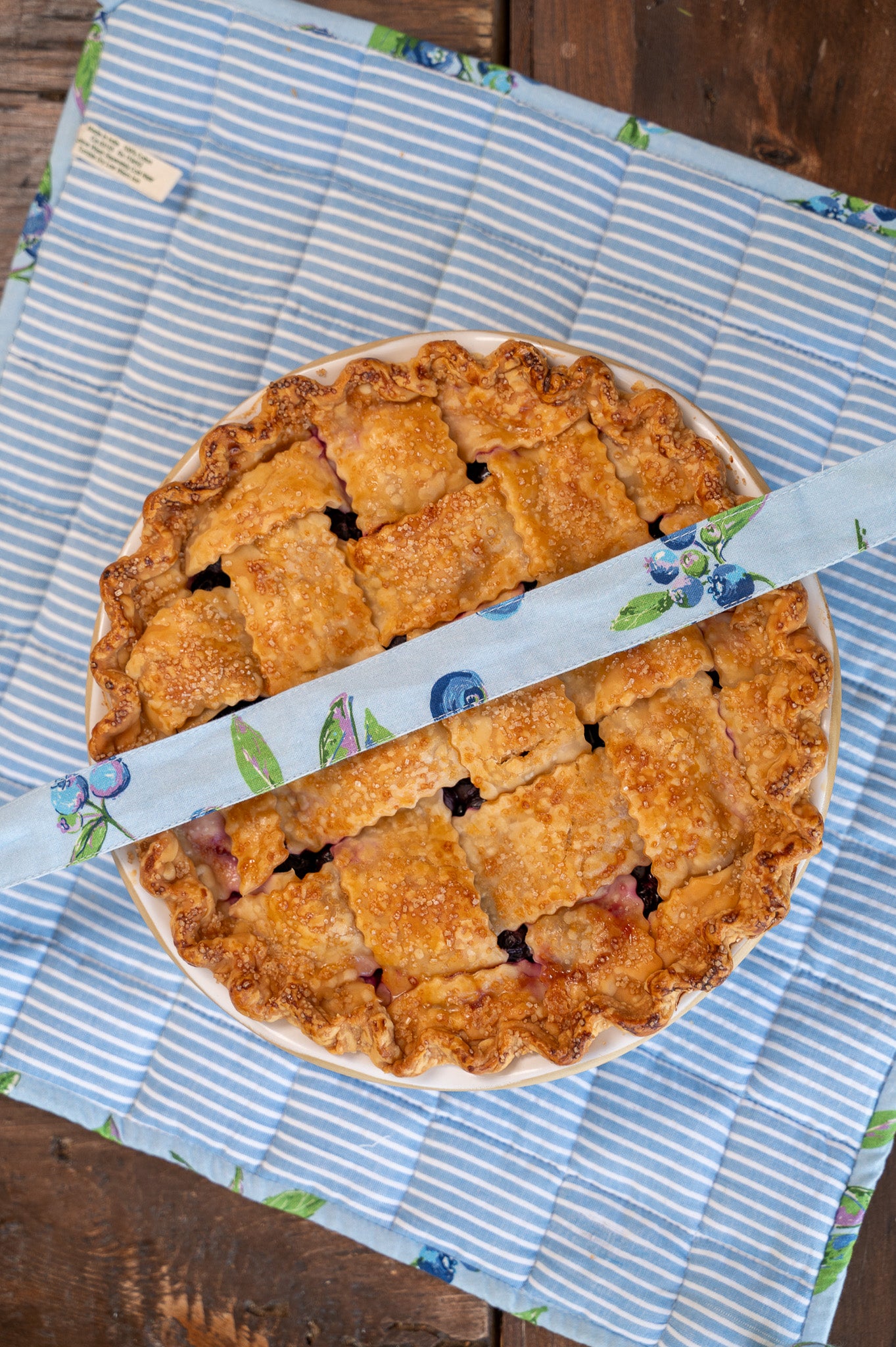 Blueberry Pie Carrier