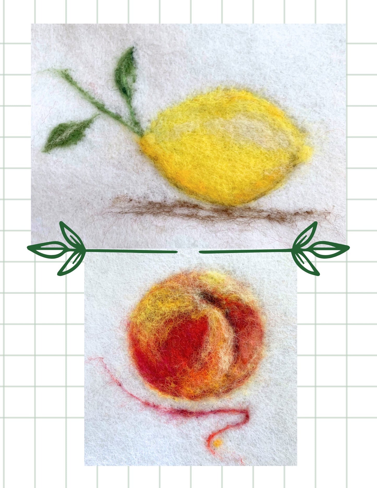Take A Poke At Fruits - Apple & Pear Needle Felting Kit